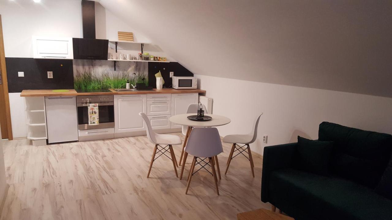 Apartamenty - Pod Wierzbami Dwikozy Εξωτερικό φωτογραφία