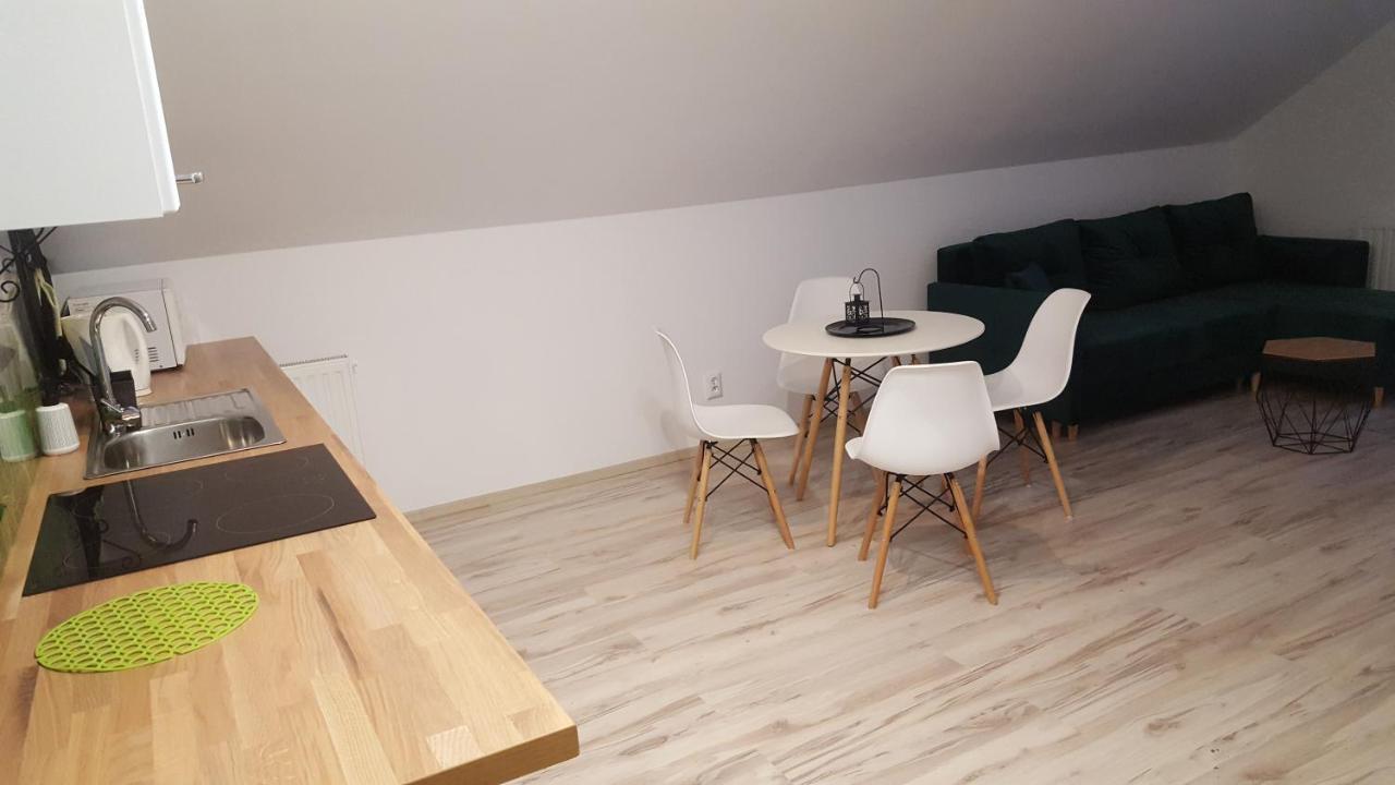 Apartamenty - Pod Wierzbami Dwikozy Εξωτερικό φωτογραφία