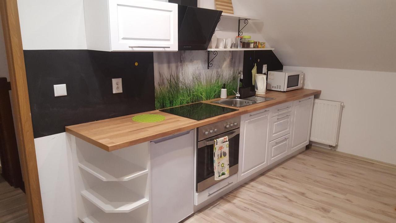 Apartamenty - Pod Wierzbami Dwikozy Εξωτερικό φωτογραφία