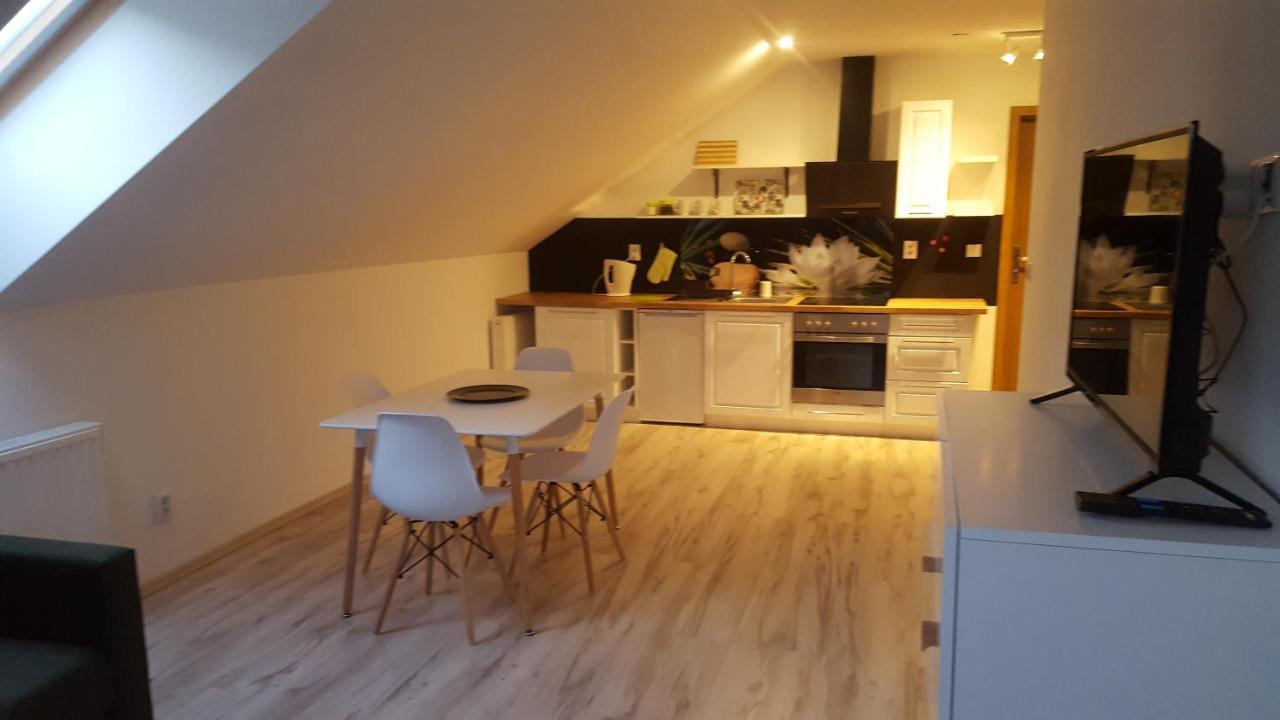 Apartamenty - Pod Wierzbami Dwikozy Εξωτερικό φωτογραφία