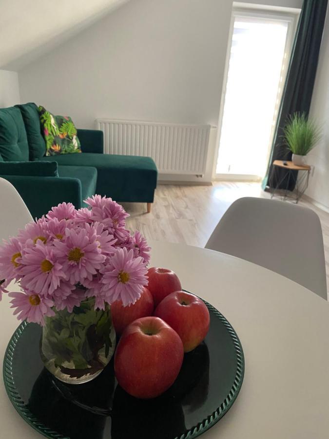 Apartamenty - Pod Wierzbami Dwikozy Εξωτερικό φωτογραφία