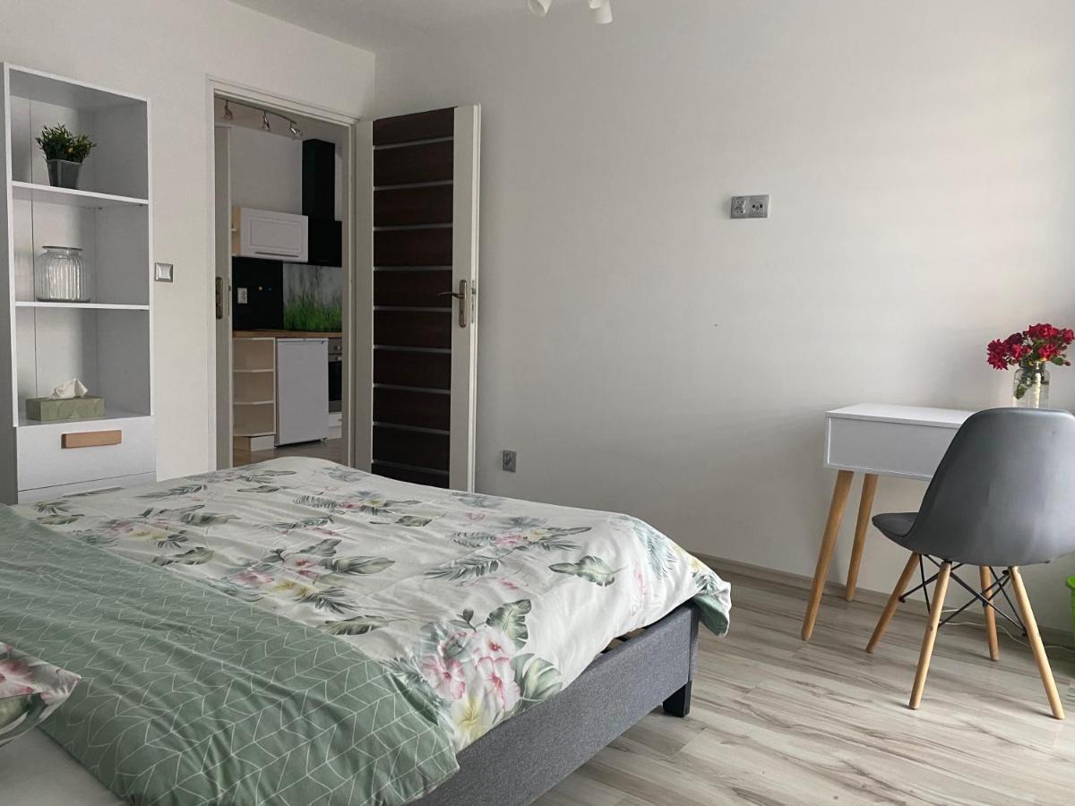 Apartamenty - Pod Wierzbami Dwikozy Εξωτερικό φωτογραφία